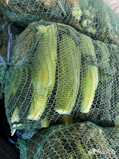 Кукуруза в початках