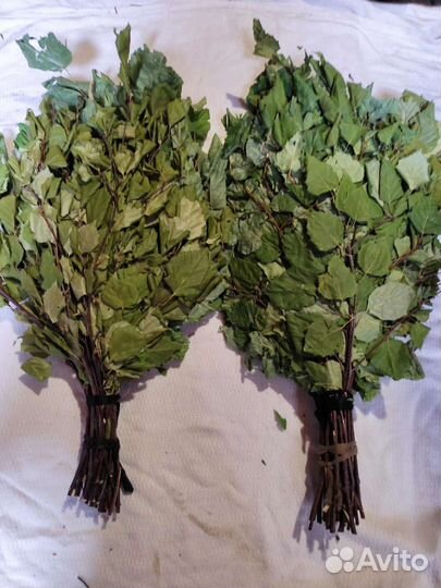 Веник липа с березой