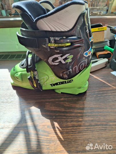 Горные лыжи