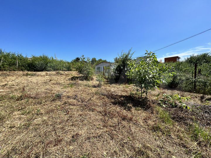 Участок 4 сот. (СНТ, ДНП)