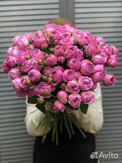 Кустовые пионовидные розы