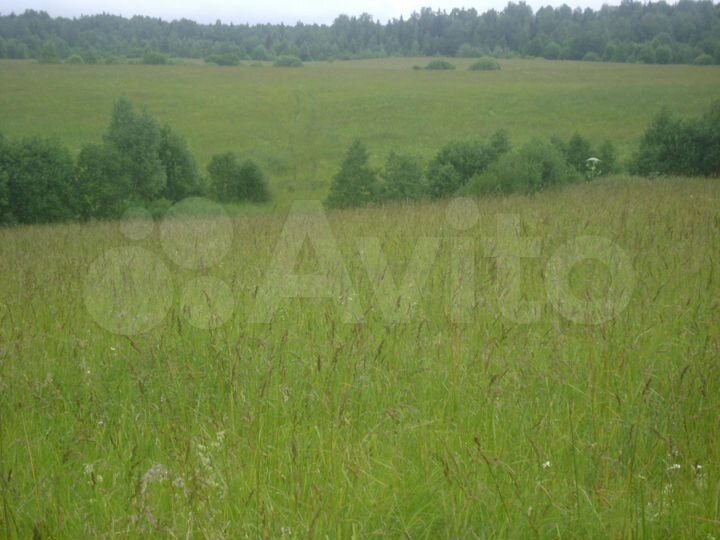 Участок 5,3 га (СНТ, ДНП)