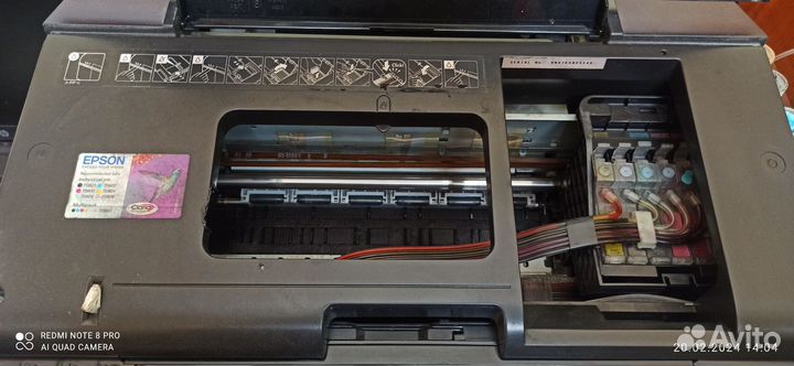 Принтер Epson P50