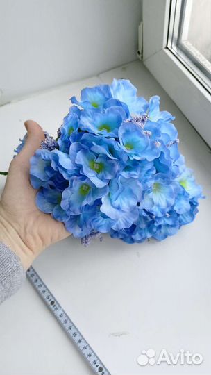 Декоративная гортензия