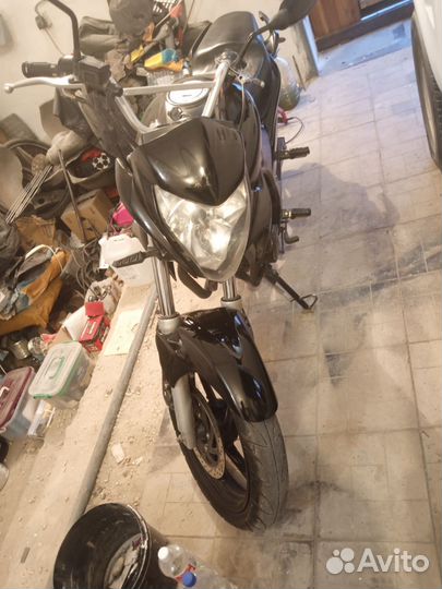 Stels fleks 250