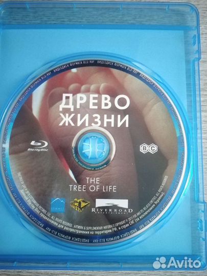 Древо жизни Блюрей