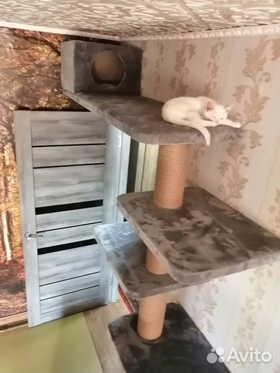 Когтеточка (производство )