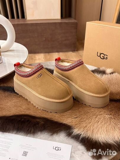 Угги замшевые UGG