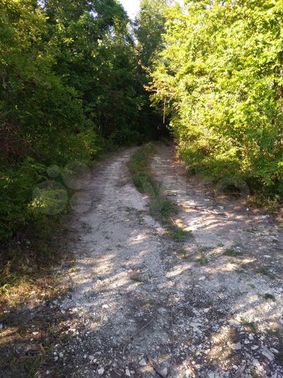 Участок 15 сот. (СНТ, ДНП)