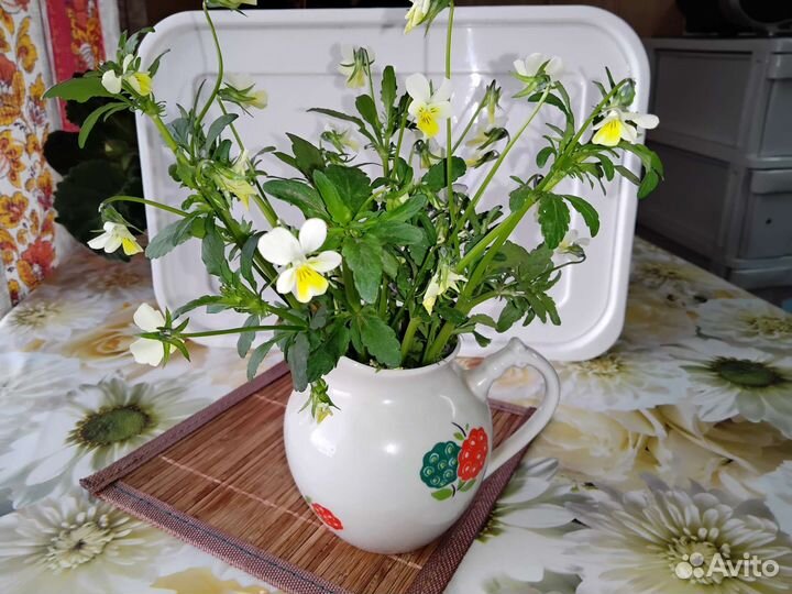 Молочник - сливочник