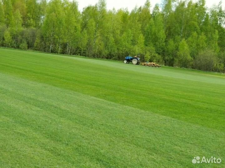 Рулонный газон