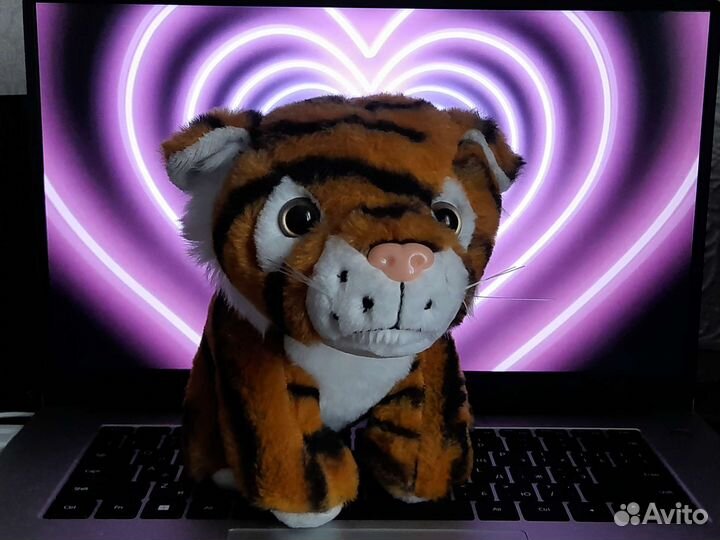 Плюшевые игрушки