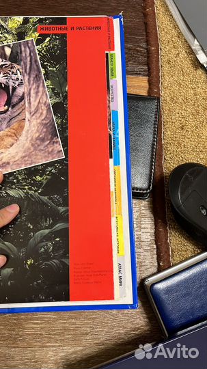 Книга древо познания