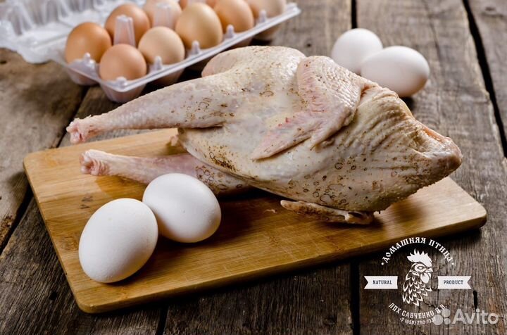 Домашняя птица, яйцо