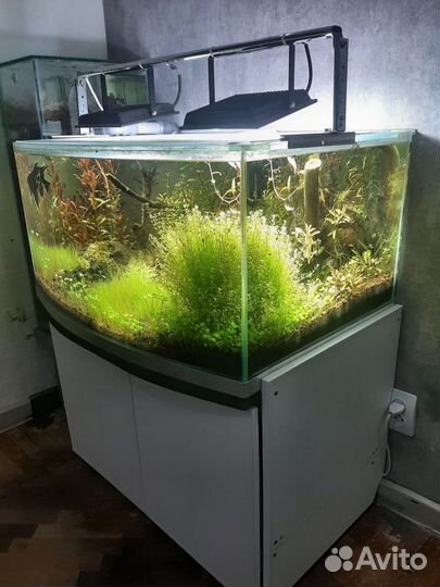 Аквариум панорамный 180л