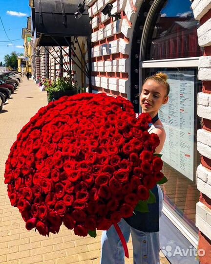 151 роза красная Высокие класса Премиум