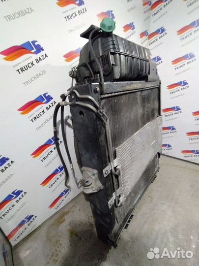 81061010079 Кассета радиаторов Man TGX