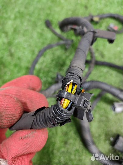 Жгут проводки двигателя Chevrolet Aveo T300 2012