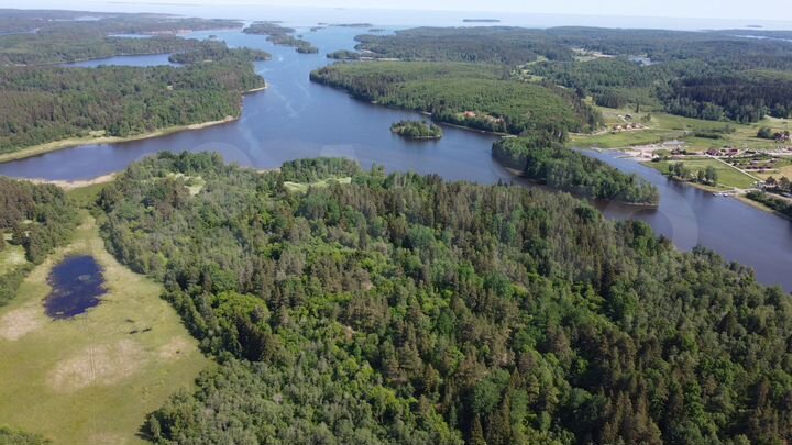 Участок 5,5 га (ИЖС)