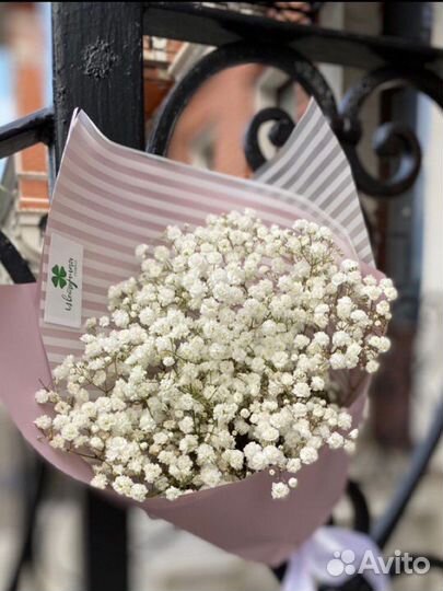 Букеты и композиции из гипсофилы