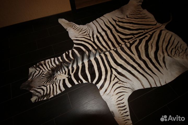 Шкура крупной зебры