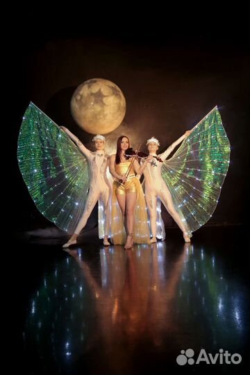 Шоу на свадьбу. Заказать артиста, скрипачка