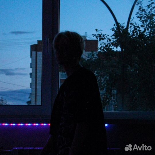 Фотосессия