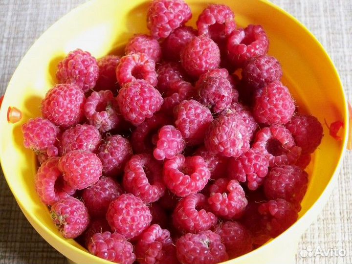 Продам малину
