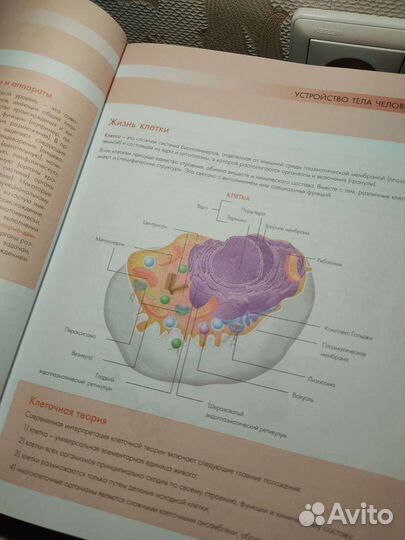 Анатомия и физиология: большой популярный атлас