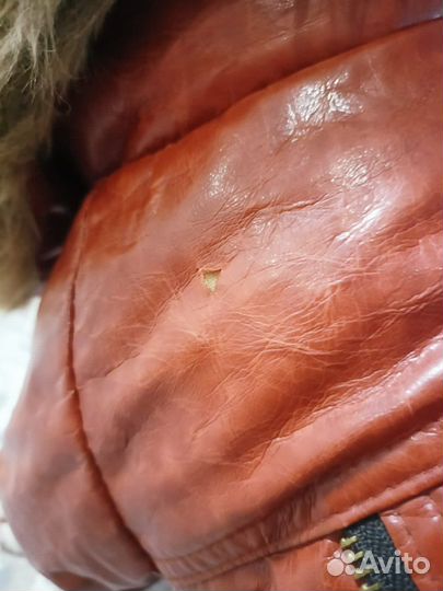 Одежда для собак