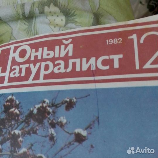 12 журналов в переплете