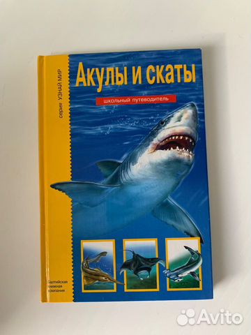 Акулы и скаты