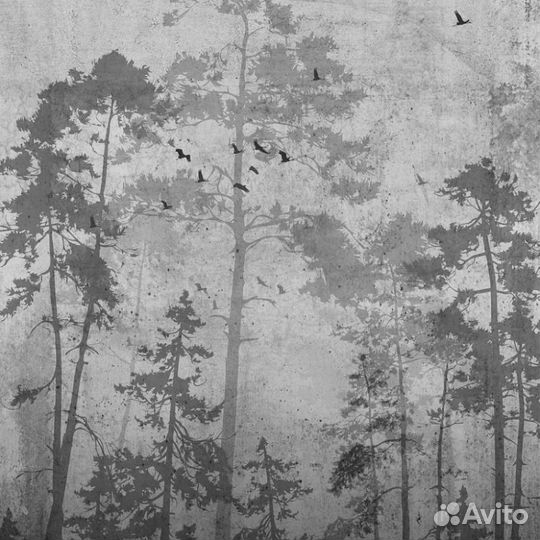 Дизайнерские фотообои 