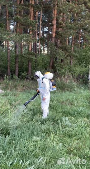 Уничтожение клопов тараканов клещей муравьёв блох