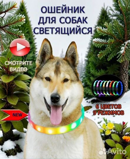 Светящийся ошейник для собак и кошек