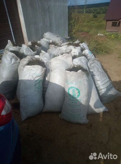 Мох строительный