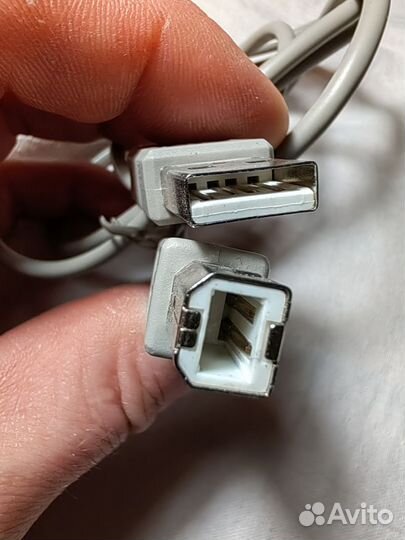 Кабель USB - USB Type-B