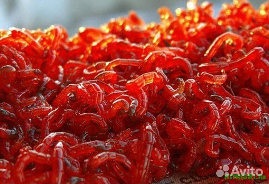 Рыболовные насадки