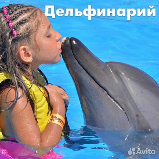 Экскурсия в дельфинарий 