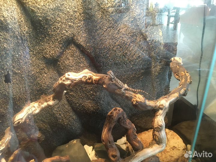 Террариум 60*60*45 см