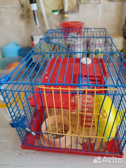 Клетка с хомяком