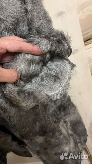 Шуба из козлика натуральная