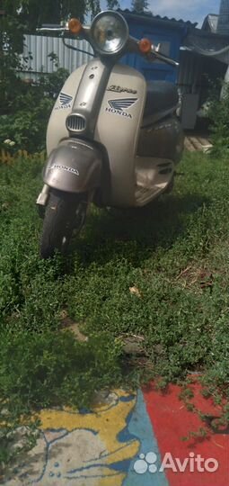 Скутер honda giorno