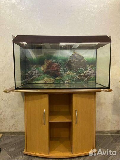 Аквариум с тумбой 250л