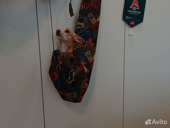 Сумка-слинг для маленьких собак