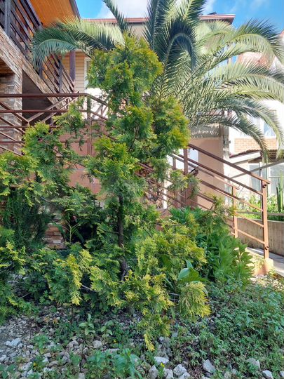 1-к. квартира, 40 м², 2/2 эт.