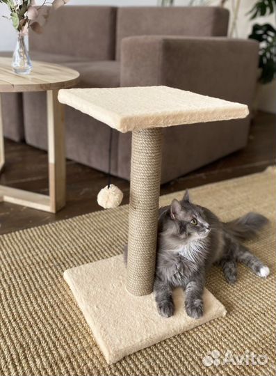 Когтеточка для кошек новая в упаковке