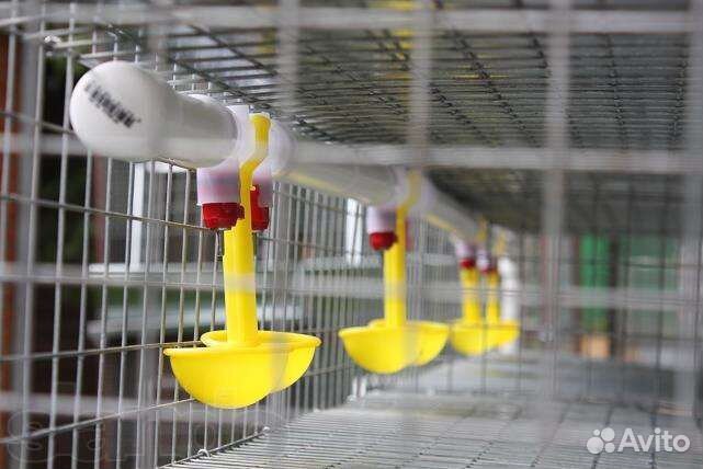 Поилка для кур, цыплят, перепелов, броллеров
