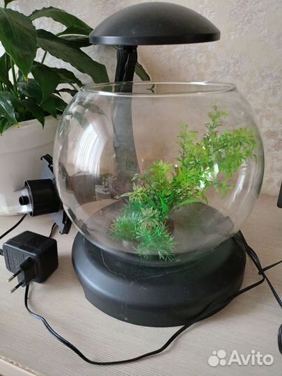 Аквариум круглый с подсветкой