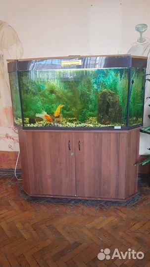 Аквариум 490 литров